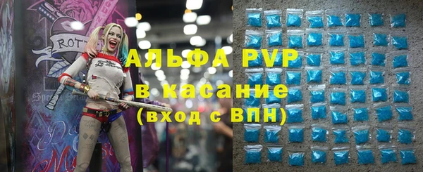 стафф Осташков
