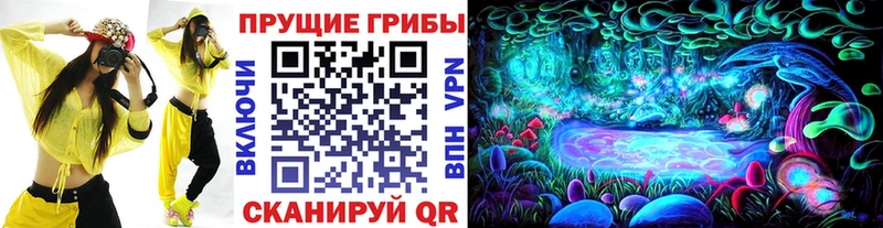 Галлюциногенные грибы мухоморы  Моздок 
